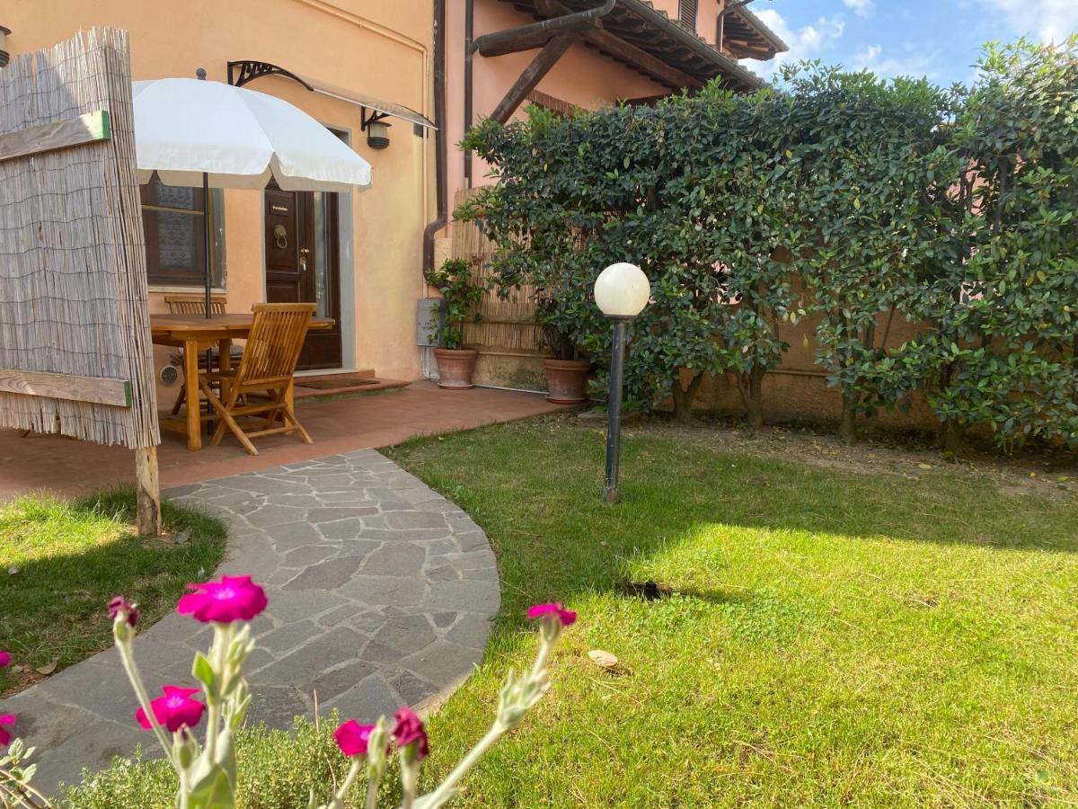 Agriturismo Terranera Scansano Exterior photo