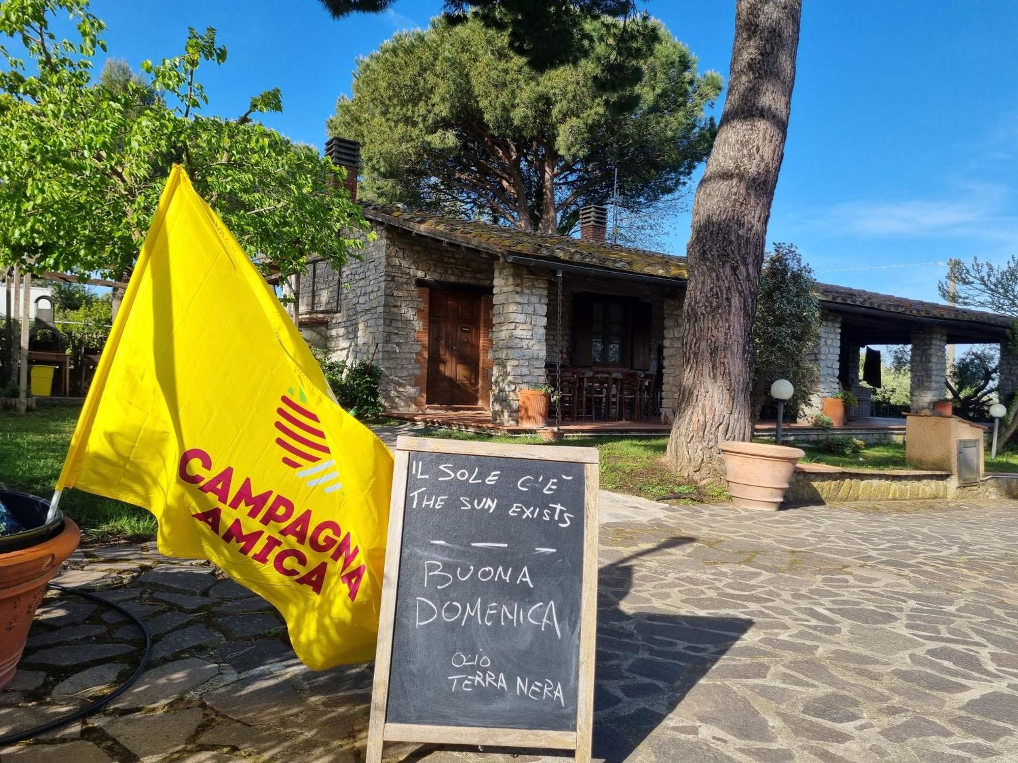 Agriturismo Terranera Scansano Exterior photo