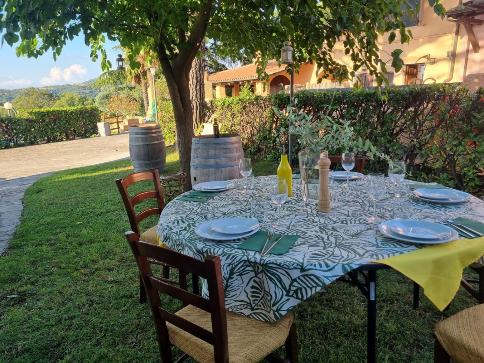 Agriturismo Terranera Scansano Exterior photo