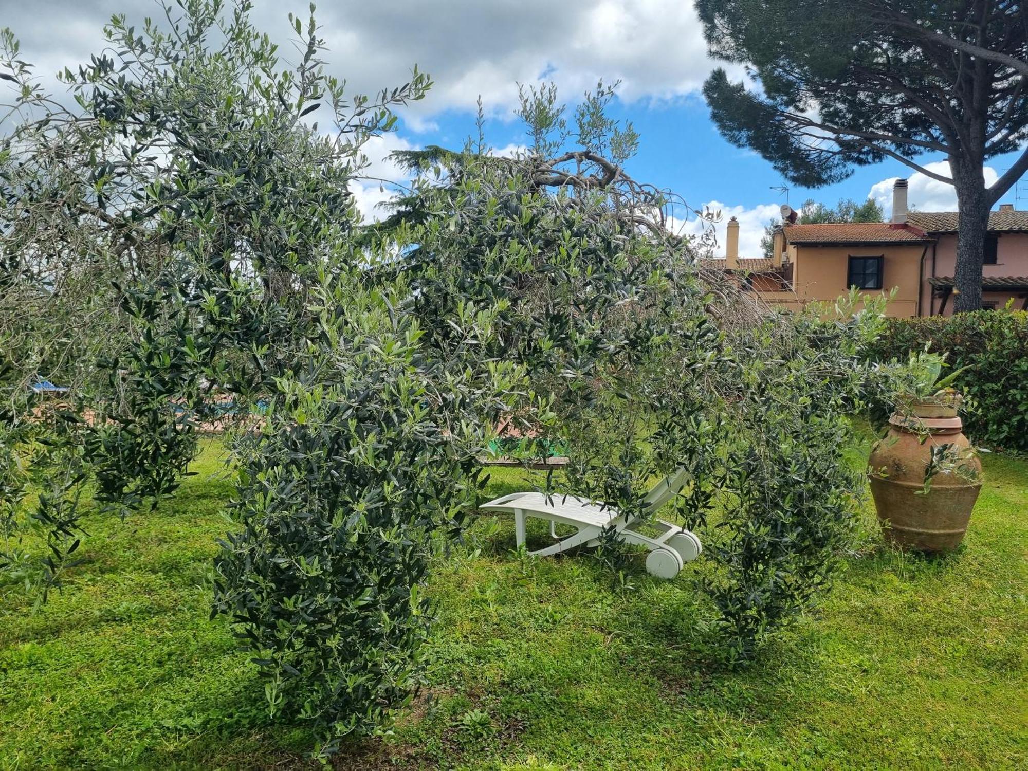 Agriturismo Terranera Scansano Exterior photo