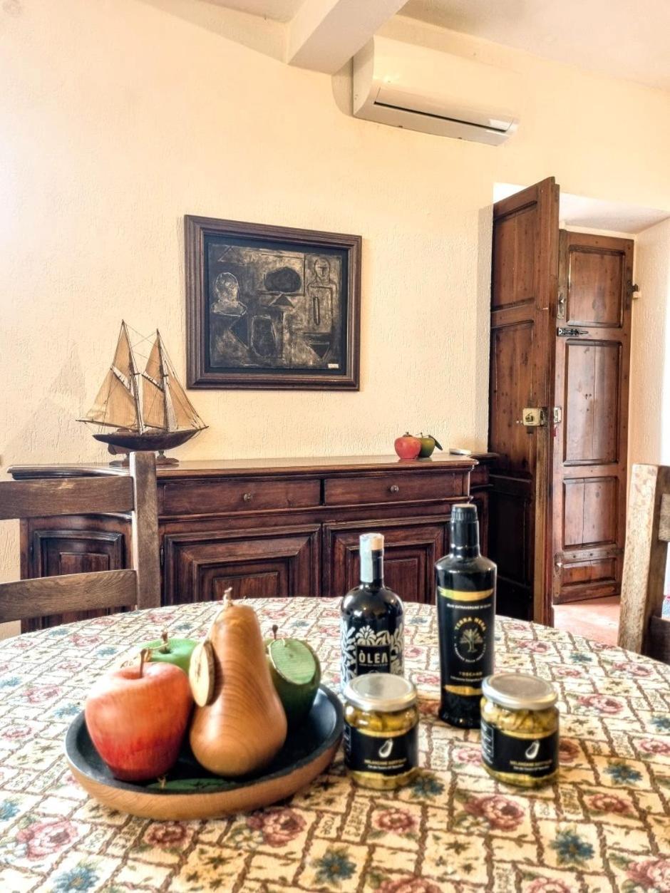 Agriturismo Terranera Scansano Exterior photo