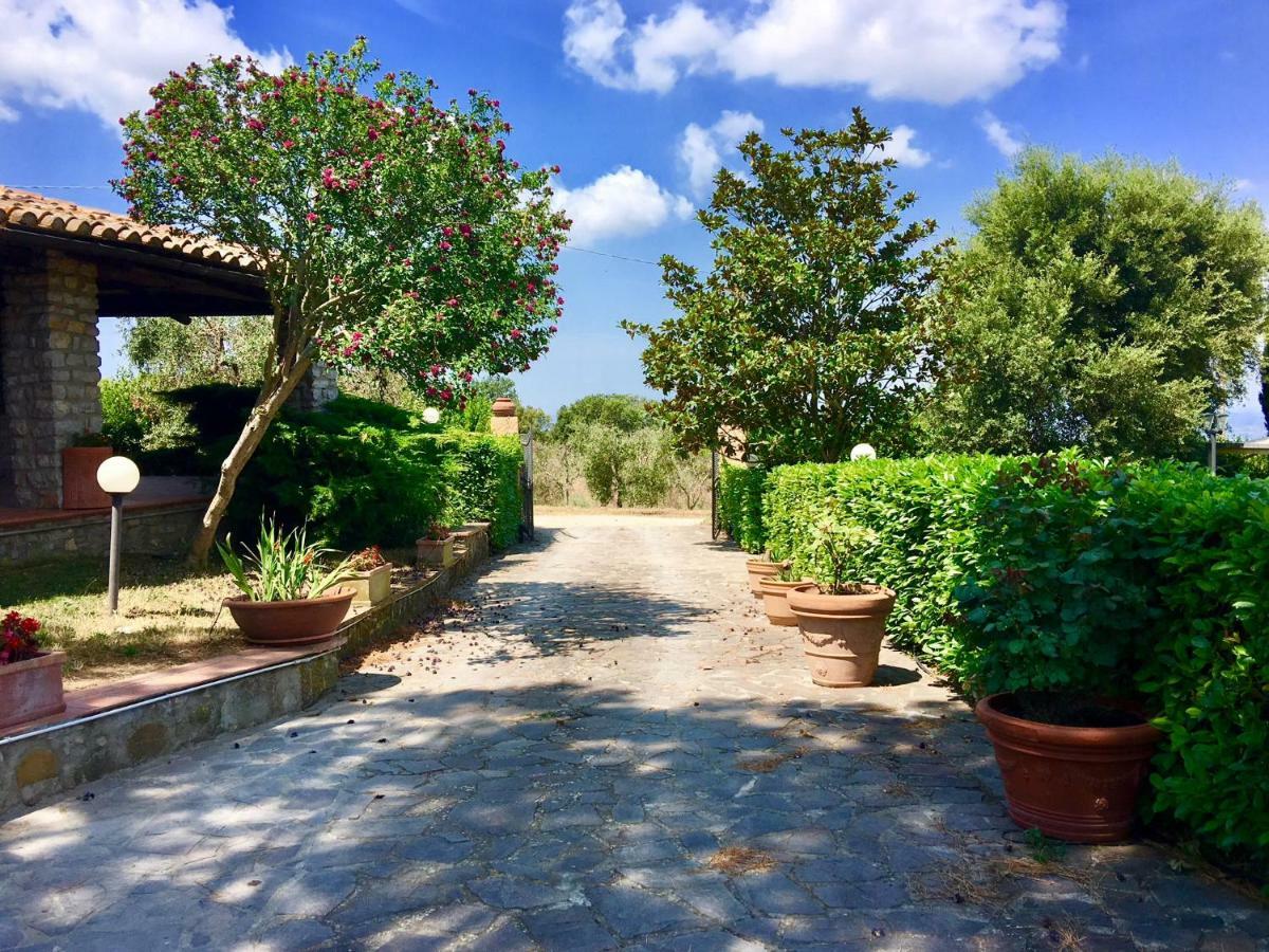 Agriturismo Terranera Scansano Exterior photo