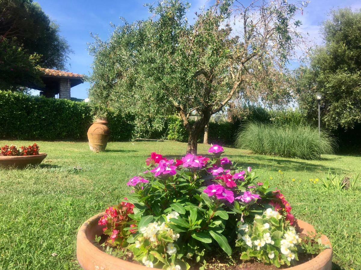 Agriturismo Terranera Scansano Exterior photo